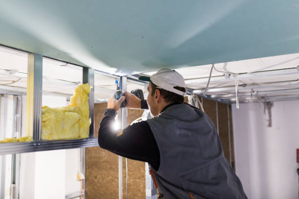 Best Insulation Installation Services in Ovid, MI