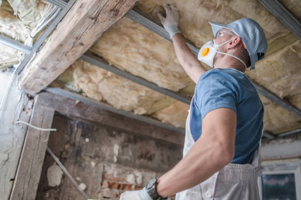 Best Residential Insulation in Ovid, MI