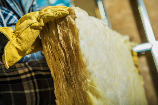 Best Types of Insulation in Ovid, MI